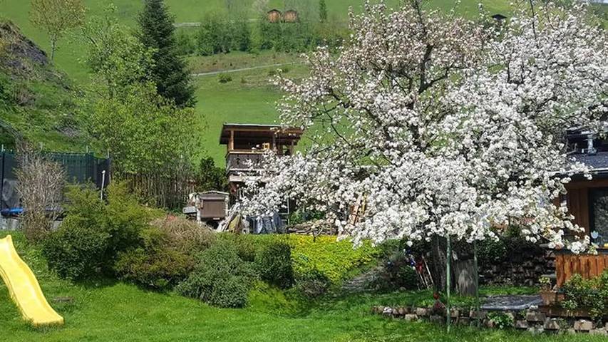 Ferienhaus für 8 Personen, mit Garten in Rauris - 2