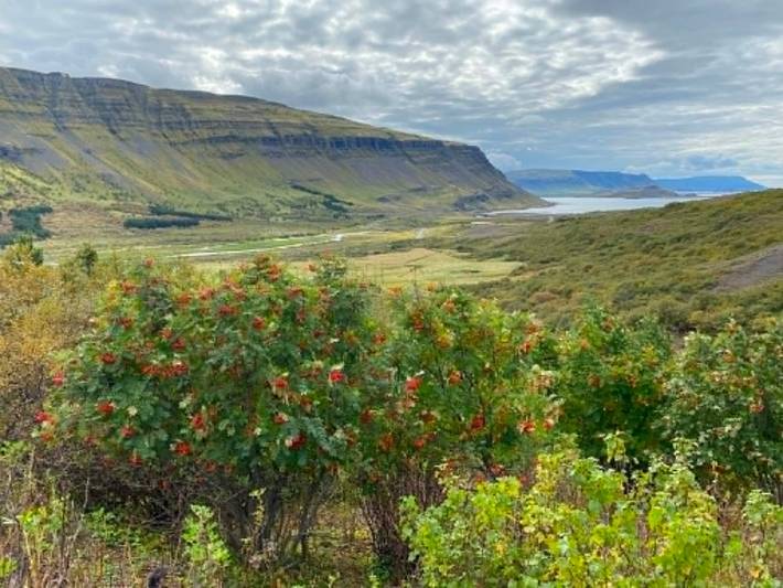 Maison de vacances pour 5 personnes en Islande