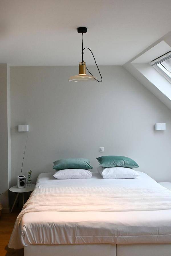 Chambre d’hôte pour 2 personnes, avec vue et jardin dans la Région d'Audenarde - 4