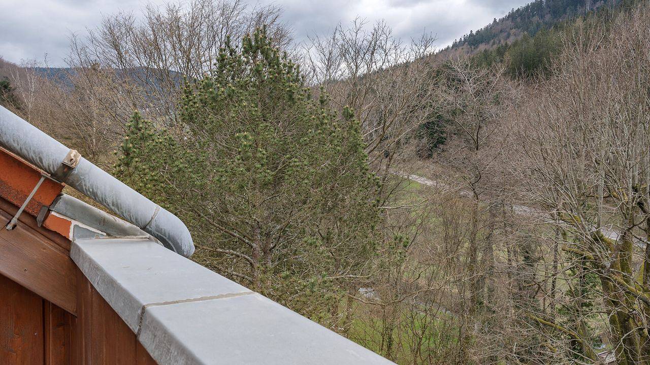 Ganze Ferienwohnung, Ferienwohnung für 4 Personen (60 m²) in Bad Herrenalb in Bad Herrenalb, Nordschwarzwald