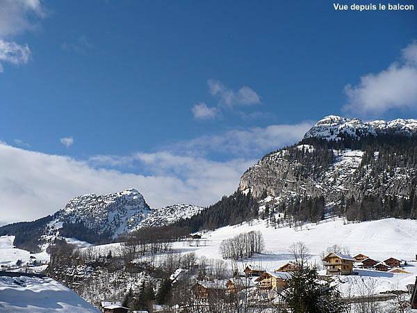 Estudio entero, Résidence la Dryade - Estudio para 2 personas (301) in Le Grand-Bornand, Región de Annecy