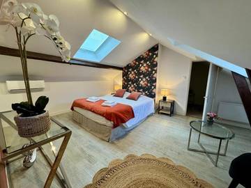 Gîte pour 6 personnes, avec terrasse et jacuzzi dans Château de Saumur