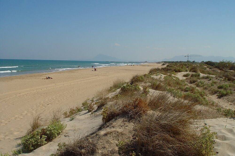 Ganze Wohnung, Nur 20 Meter zum Dünen-Strand, Meerblick, Pool, zw.Oliva u.Gandia direkt am Meer in Platja de Terranova (Piles), Piles