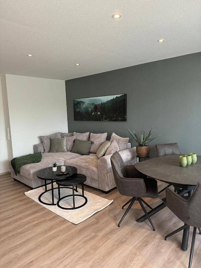 Ferienwohnung für 8 Personen, mit Pool und Ausblick sowie Sauna und Garten in Schonach (Dorf)