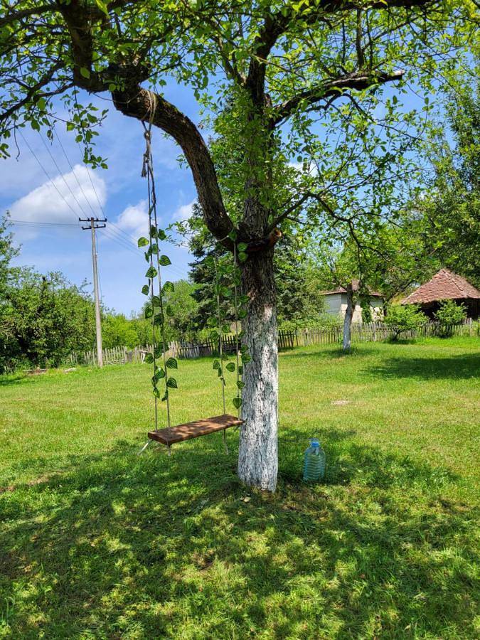 Location de vacances pour 3 personnes, avec vue et jardin à Kosjerić - 4