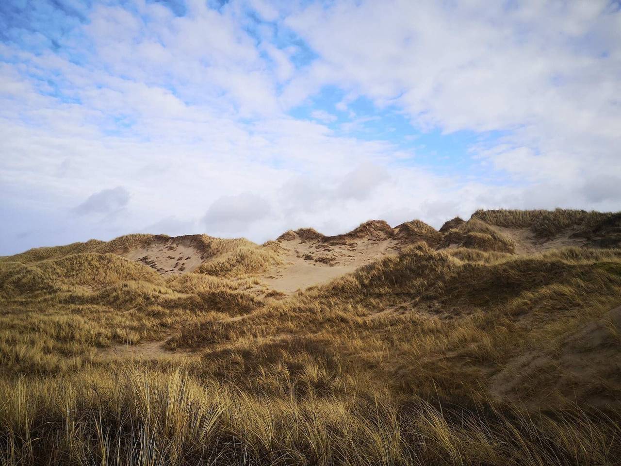 6 Personen Ferienhaus in Bindslev in Tversted, Tannisbucht