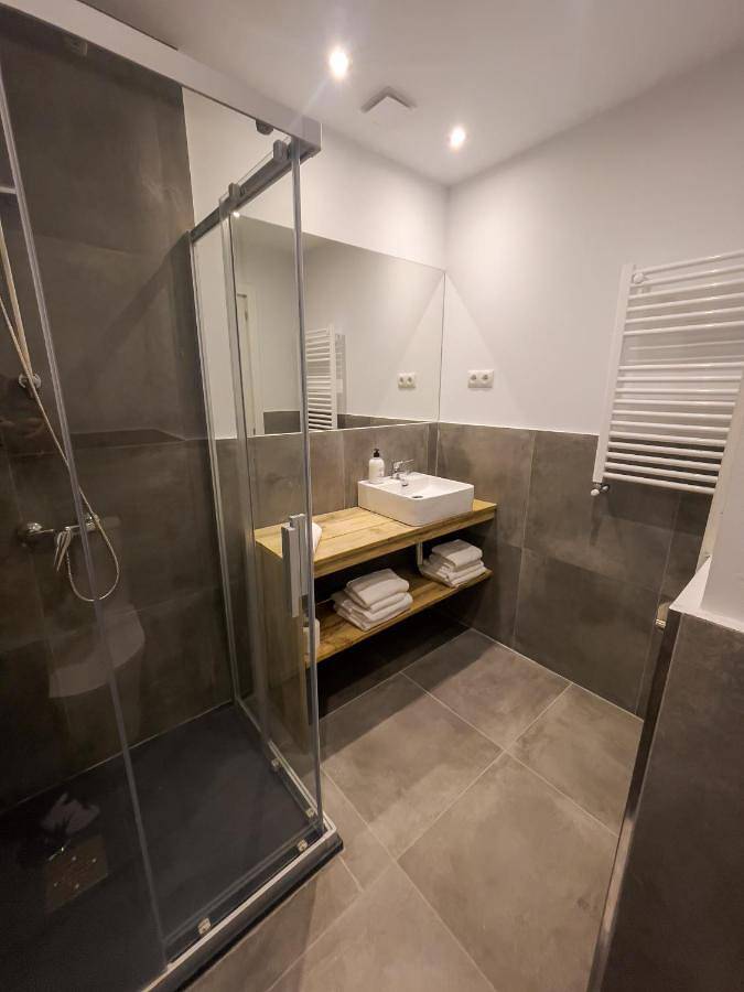 Gîte pour 4 personnes, avec terrasse et jardin dans Vielha - 4