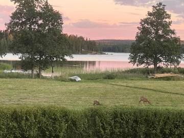 Ferienhaus für 8 Personen, mit Seeblick und Ausblick sowie Garten, mit Haustier in Storfors