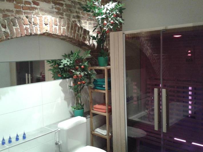 Gîte pour 6 personnes, avec sauna et terrasse à Clavier - 2