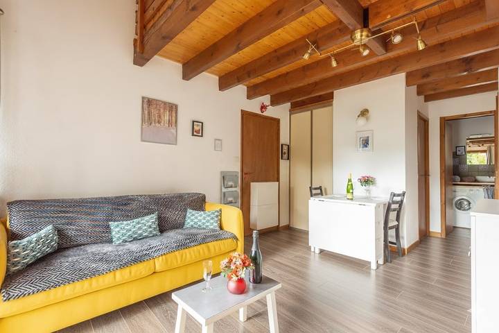 Gîte pour 4 personnes, avec terrasse dans Lac des Corbeaux - 3