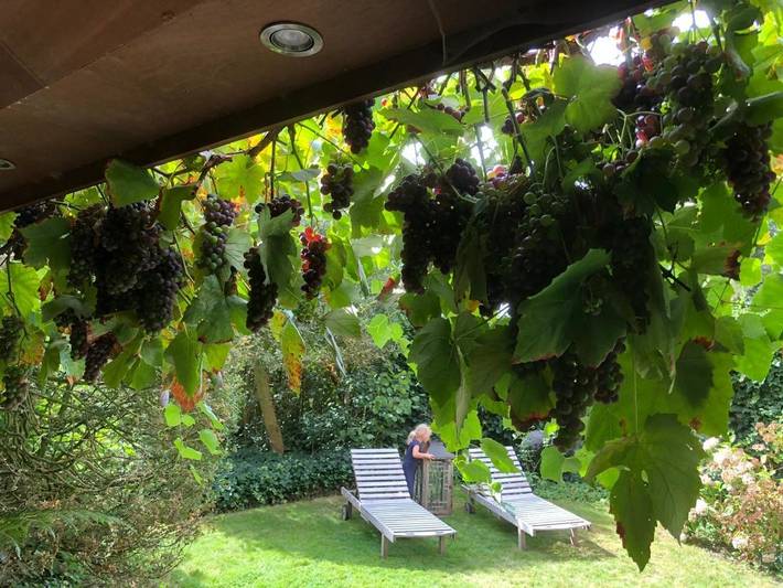 Location de vacances pour 2 personnes, avec vue et jardin à Aalter - 4