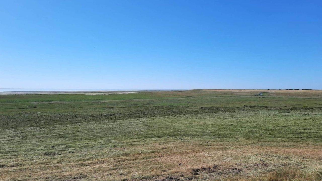 Ferienhaus für 2 Personen (78 m²) in Esbjerg V in Sjelborg, Esbjerg