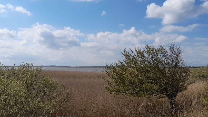 Ferienhaus für 7 Personen, mit Terrasse in Amtoft - 4