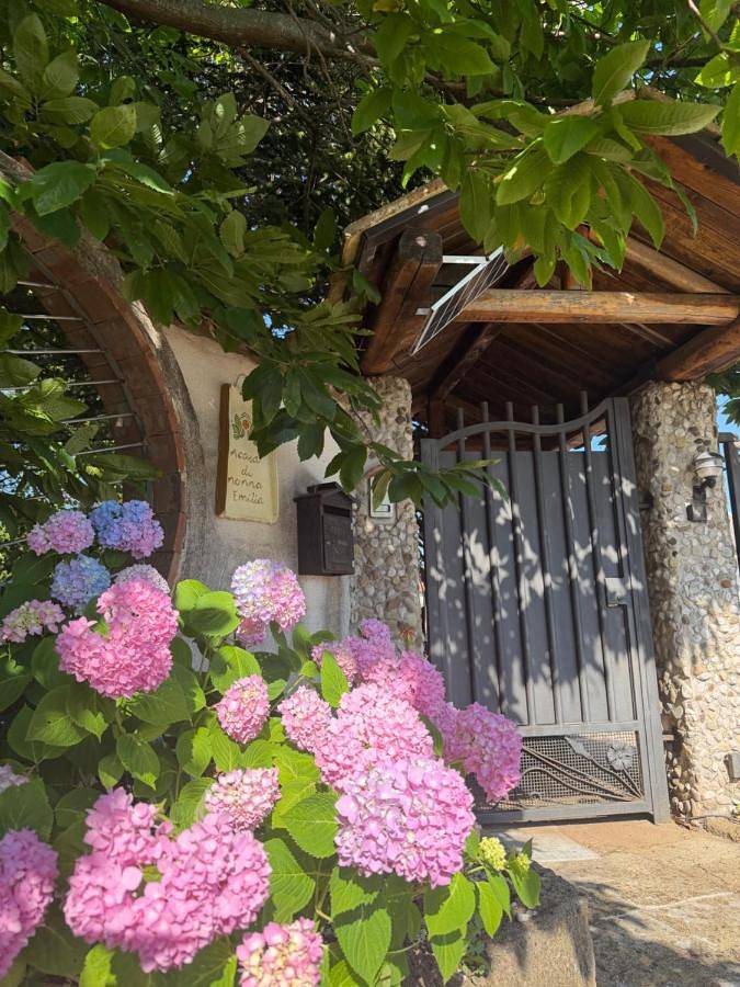 Chambre d’hôte pour 4 personnes, avec Jardin à Campagna - 4