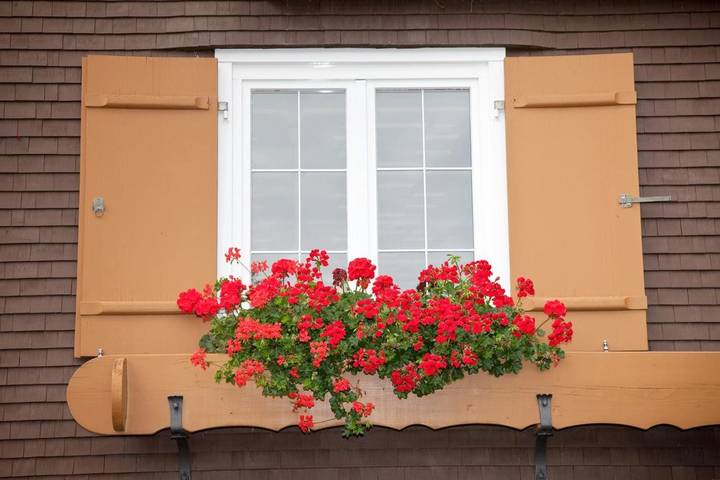 Maison d’hôte pour 3 personnes, avec sauna et terrasse à Mittelberg - 4
