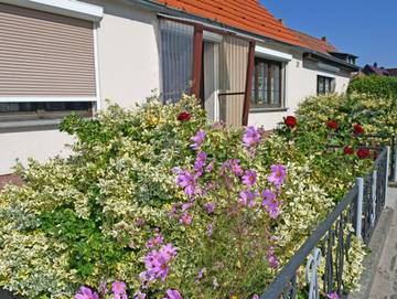 Ferienwohnung für 2 Personen in Thiessow, Mönchgut, Bild 4