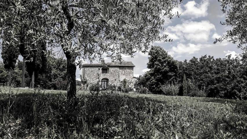 Maison de campagne pour 2 personnes, avec vue ainsi que piscine et jardin à Sinalunga - 2