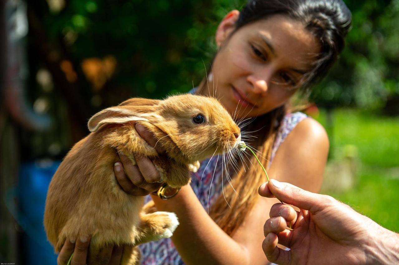 Les Chambres d'hotes de Laurette in Bertrambois, Région de Lunéville