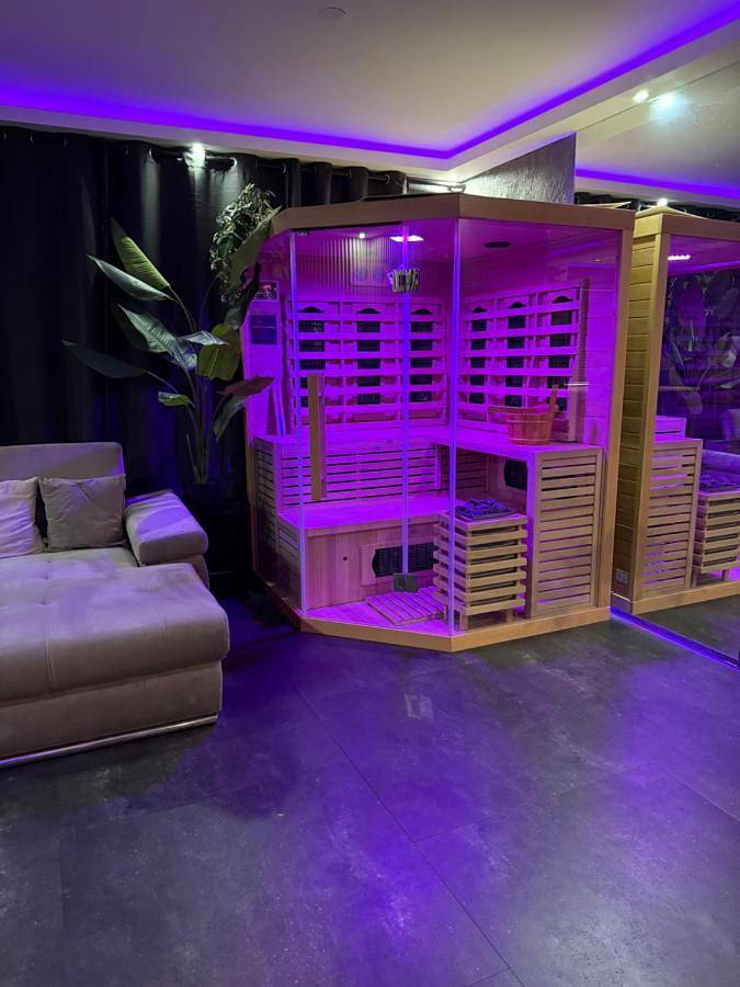 Gîte pour 2 personnes, avec jardin ainsi que sauna et jacuzzi à Rotterdam - 4