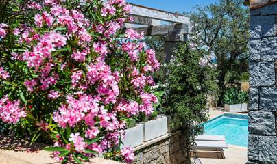 Glamping per 8 Persone in Cagliari e Dintorni, Foto 3