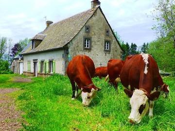 Gîte pour 8 personnes, avec terrasse et jardin à Tauves