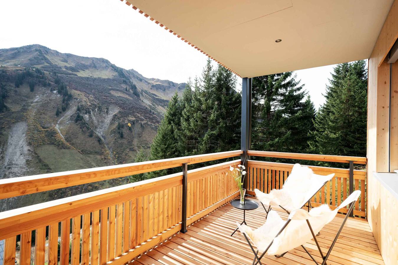 Ganze Wohnung, Landhaus Damüls - Bergblick #01 in Damüls, Bregenzerwald