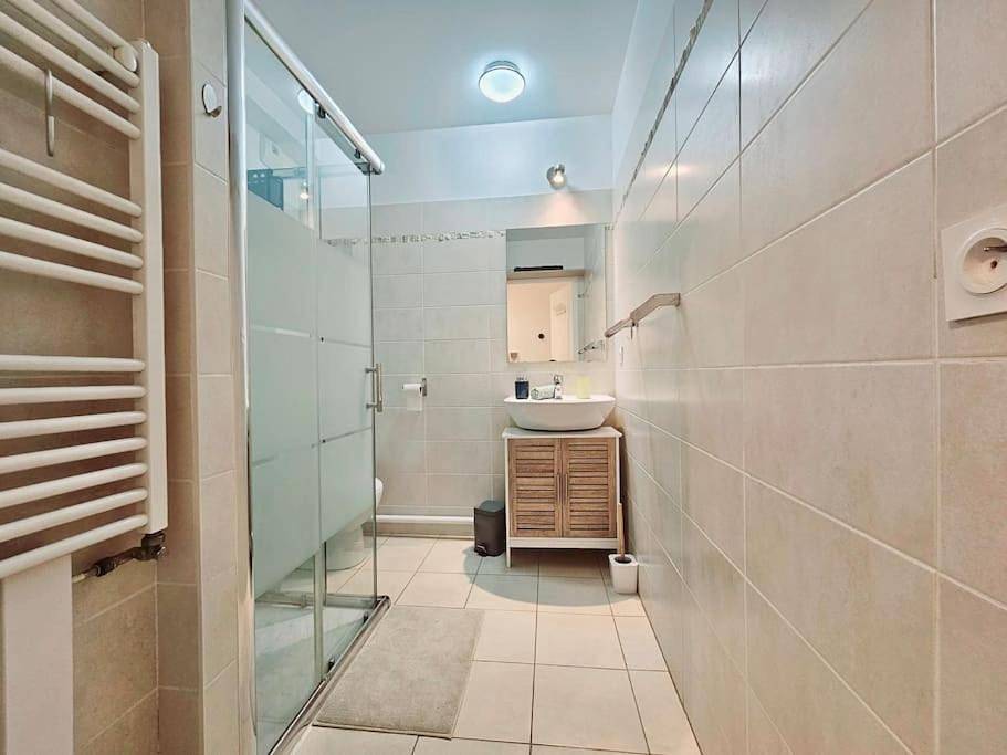 Appartement entier, One-Bedroom Apartment in Joinville-le-Pont, Val-de-Marne