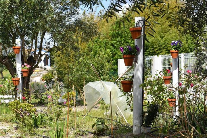 Location de vacances pour 7 personnes, avec jardin et piscine à Vendas Novas - 3