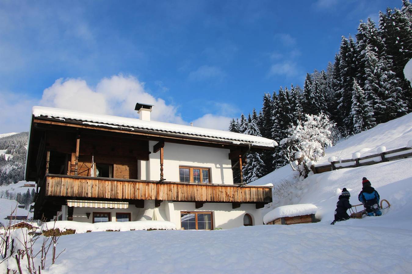 Ganze Ferienwohnung, Appartement Weberkreuz in Inneralpbach, Alpbach