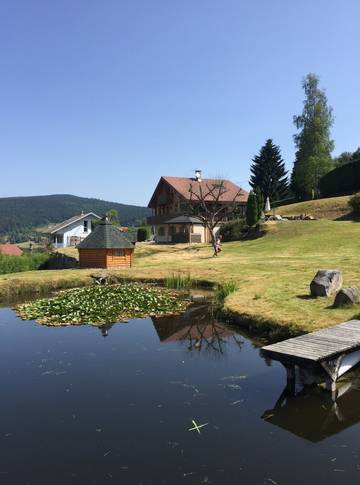 Chalet pour 12 personnes, avec terrasse et jardin à Xonrupt-Longemer