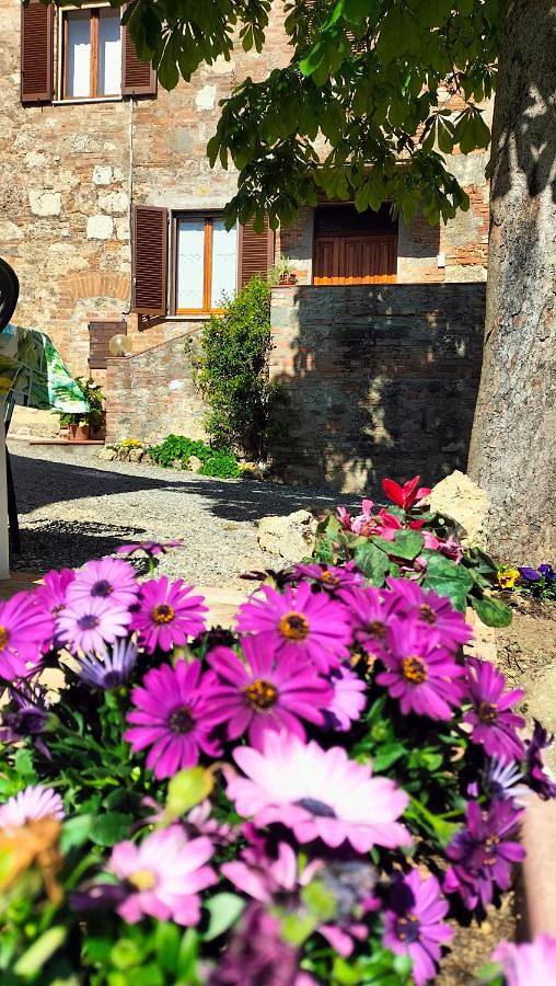 Ferienwohnung für 6 Personen, mit Balkon und Ausblick, mit Haustier - 1