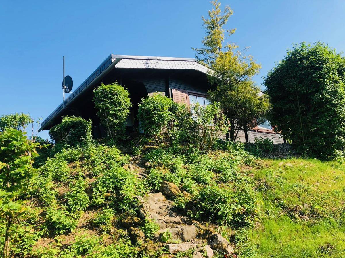 Dachsbau in Bad Lauterberg, Harzvorland