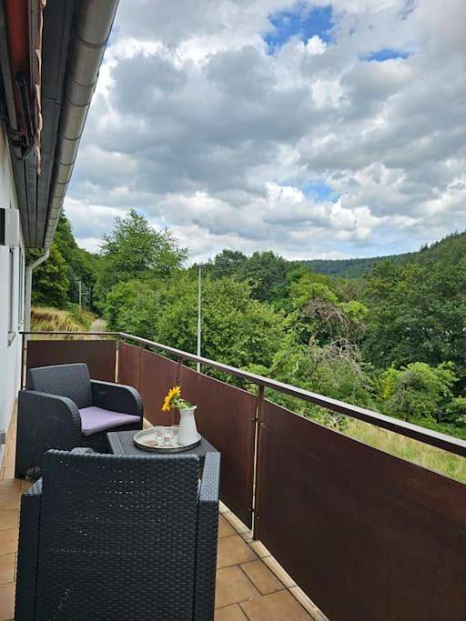 Appartement entier, Große Ferienwohnung am Waldrand in Schönau, Kurpfalz