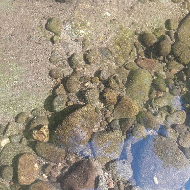 Familienfreundliches, gemütliches Ferienhaus am Small River im Herzen der Catskills. in Sullivan County