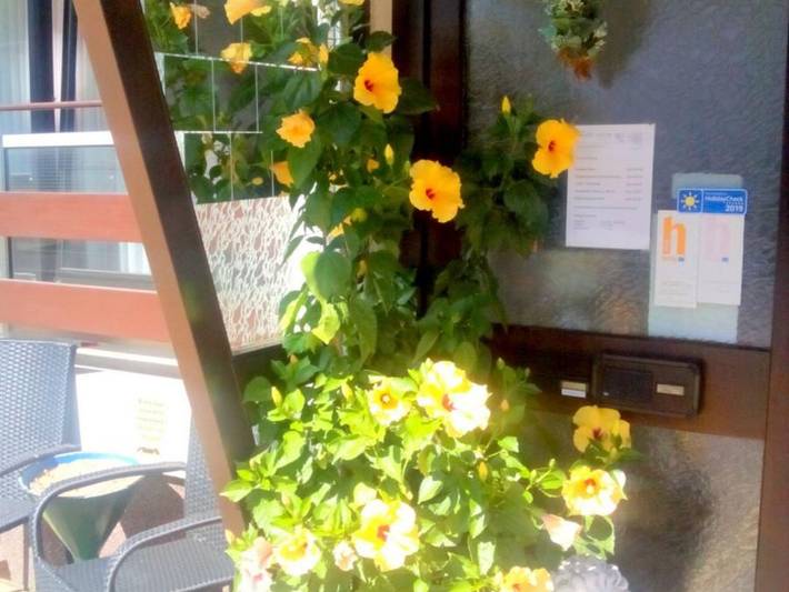 Hotel für 2 Personen, mit Balkon, mit Haustier in Idar-Oberstein - 2