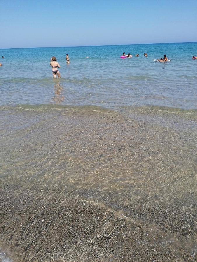 Stella marina in Spiaggia di Campofelice di Roccella (Campofelice di Roccella), Campofelice di Roccella