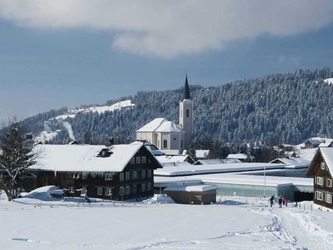 Ganze Ferienwohnung, Haus Nardin - Ferienwohnung in Alberschwende, Bodensee-Vorarlberg