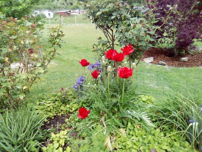 Gîte pour 2 personnes, avec jardin et terrasse à Pruniers-en-Sologne - 2