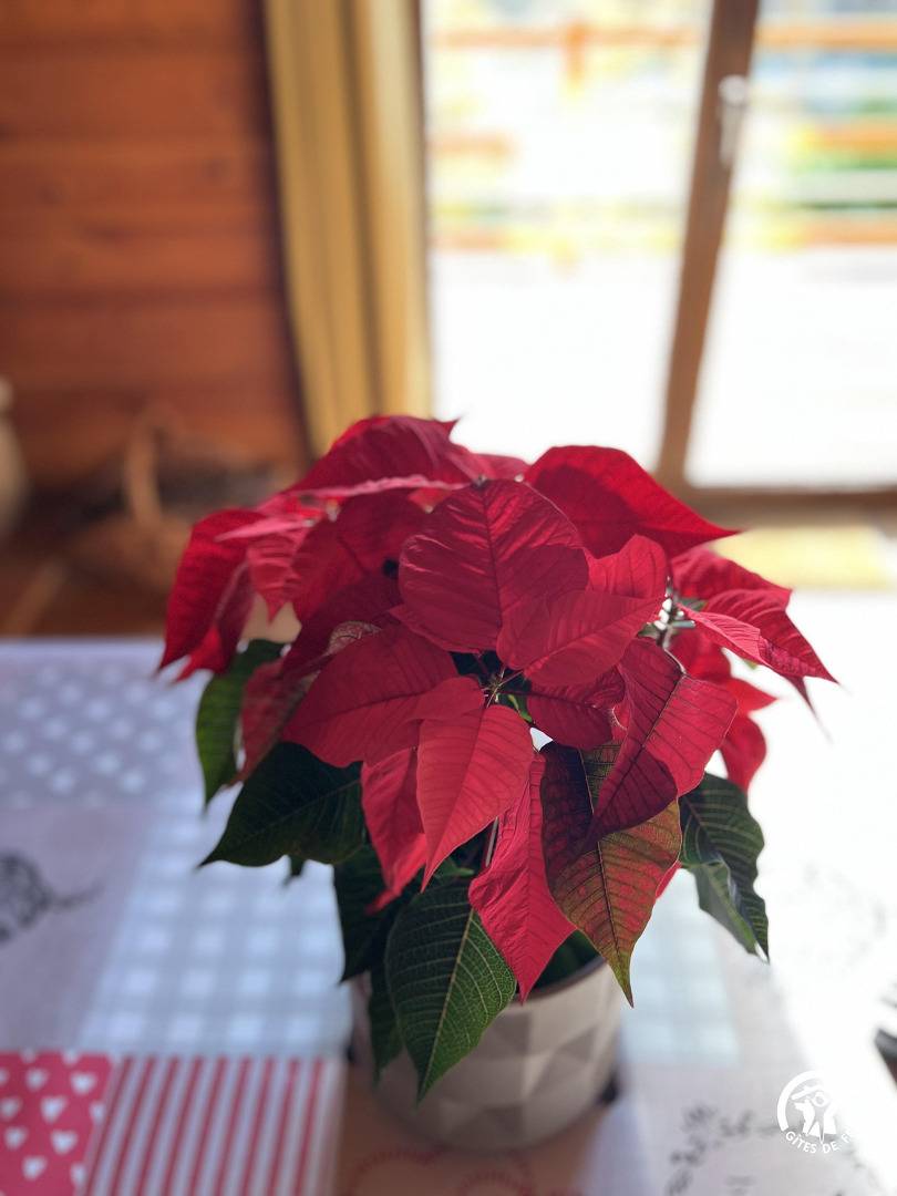 Chalet Lacoste in Belcaire, Limoux region