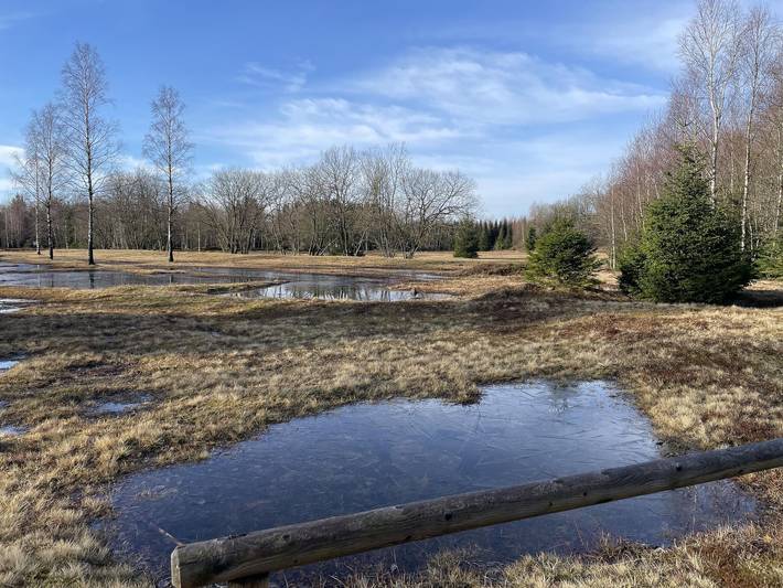 Ferienwohnung für 2 Personen, kinderfreundlich in Altenberg - 4