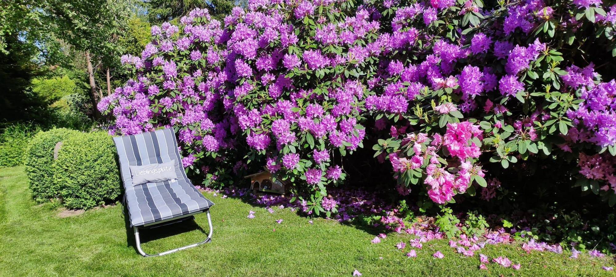 Ganze Ferienwohnung, Fw Hackspiel in Isny, Isny im Allgäu