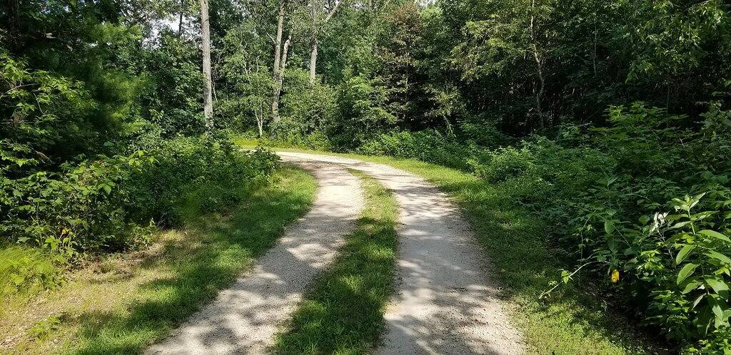 Bluebelle Tiny House in the 'Hundred Acre Woods'! in Adams County (WI)
