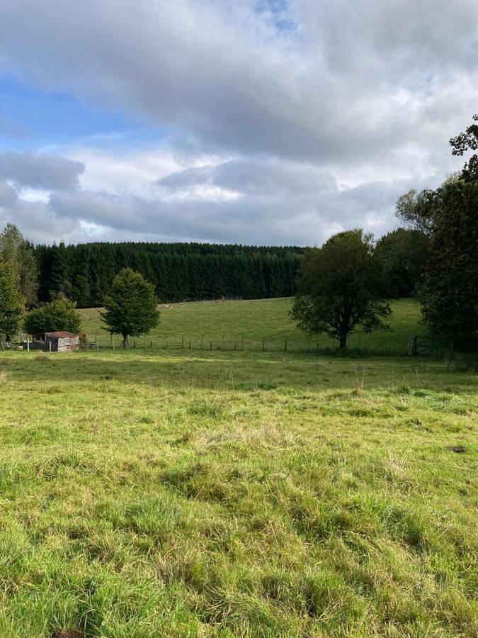 B&B Haus Jola in Butgenbach, Hautes Fagnes