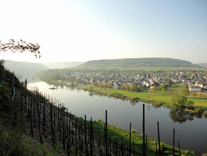 Ferienwohnung für 4 Personen, mit Balkon und Balkon/Terrasse sowie Terrasse und Sauna in Cochem-Zell - 3