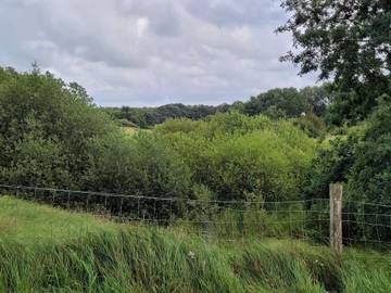 Ferieudlejning til 8 Personer i Vejen, Billede 4