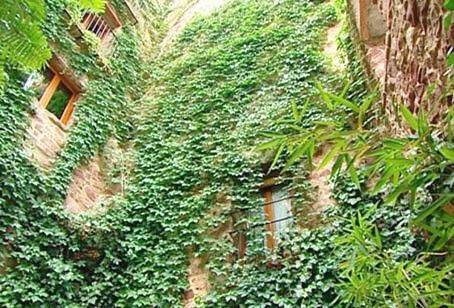 Casa rural para 2 personas, con terraza y vistas, Se admiten mascotas en Provincia de Castellón - 4