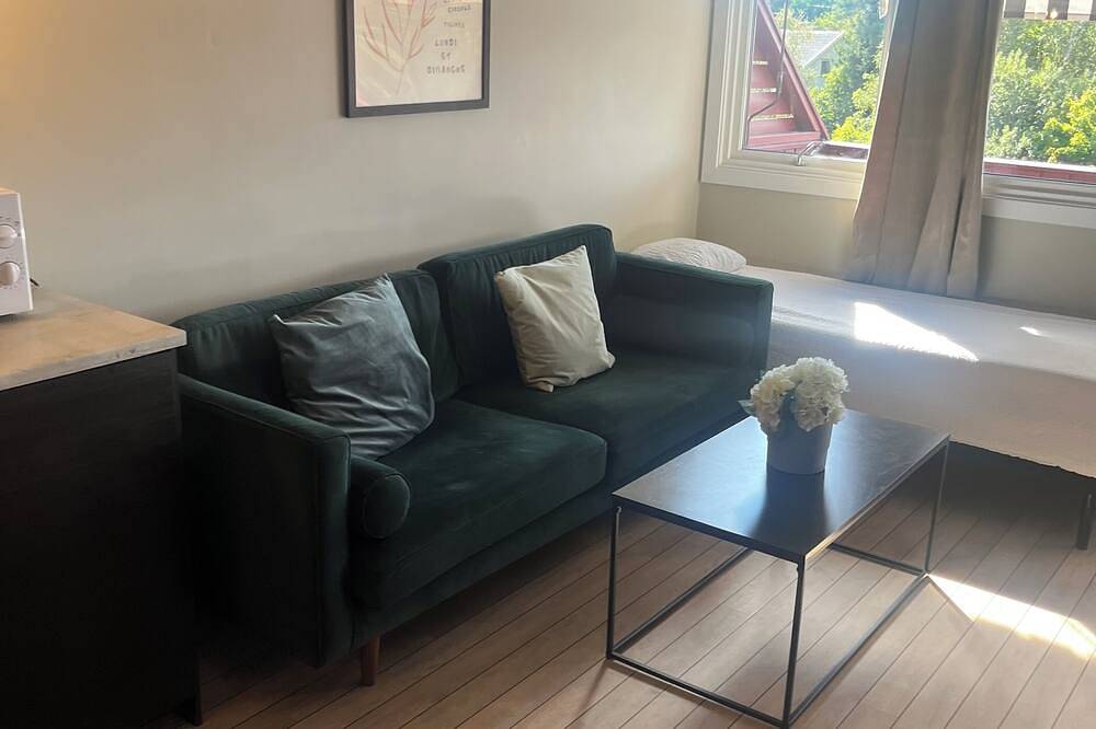 Ganze Wohnung, Charming 1-bedroom apartment in brilliant Akershus with all innclude in Ski
