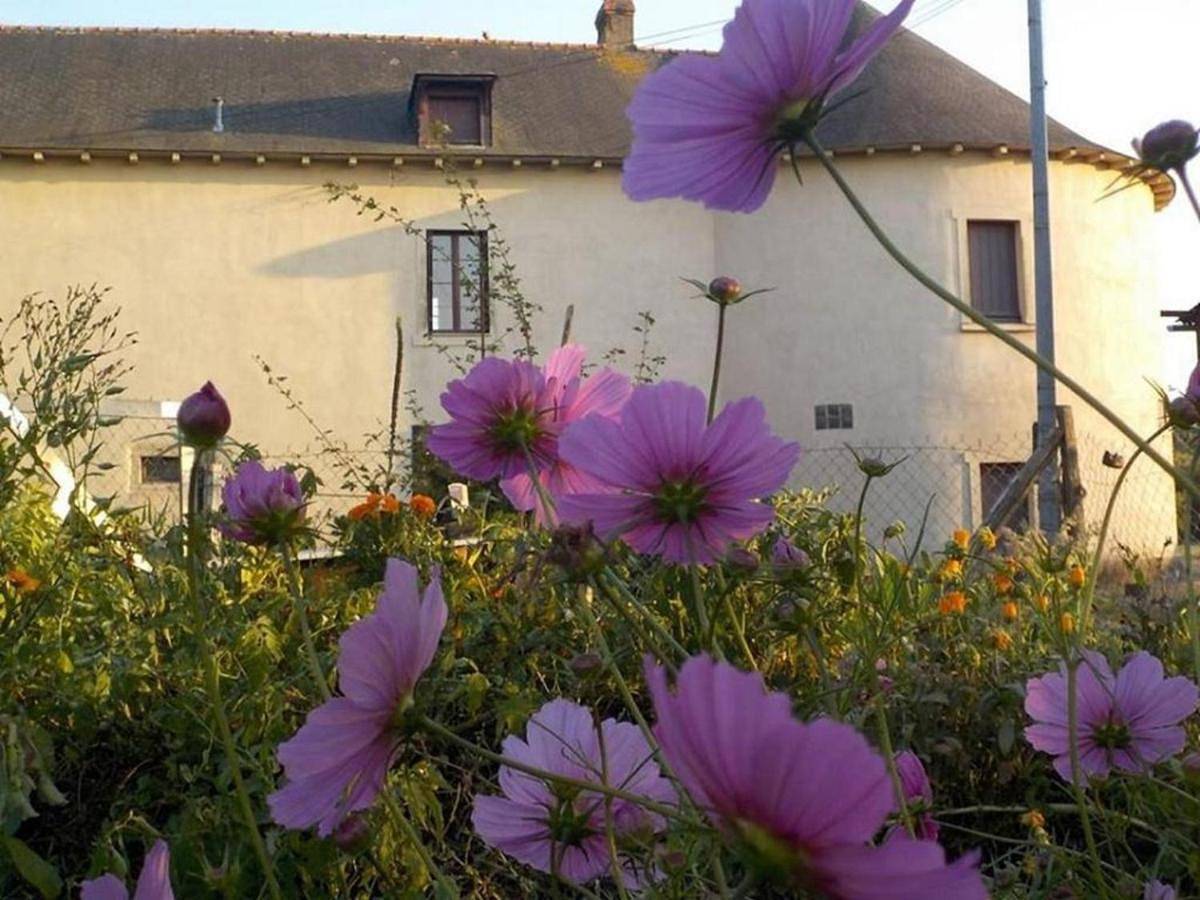 Appartement entier, Manoir de la Guignardiere - Charme et Douceur in Chavagne, Région de Rennes
