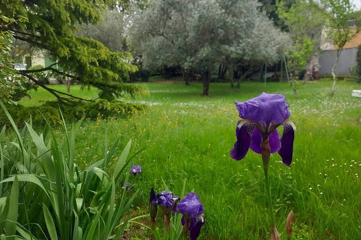 Pleasant cottage emersed in nature by Duino castle in Duino-Aurisina, Triest Provinz