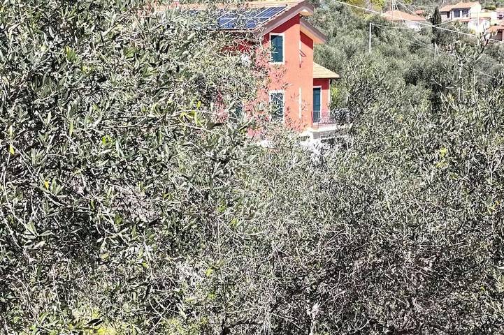 Ferienhaus für 4 Personen, mit Garten in Montegrazie